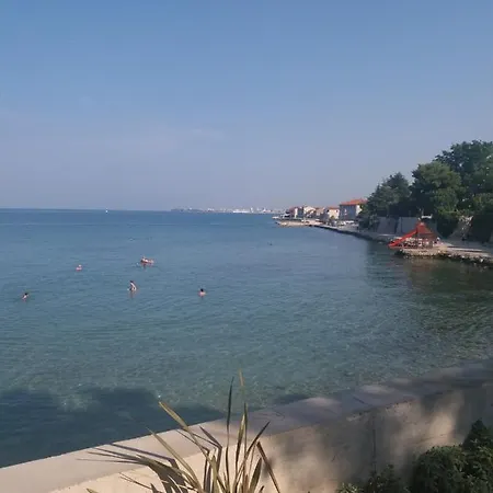 Jelena * Bibinje