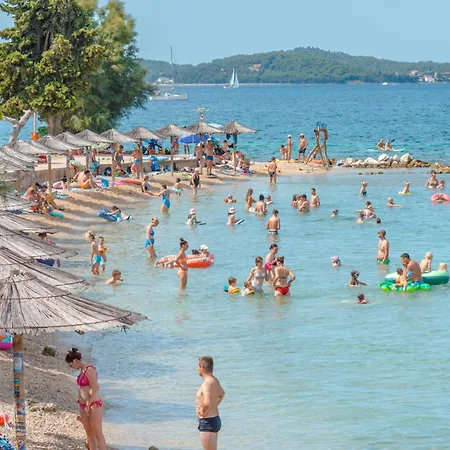 Jelena * Bibinje